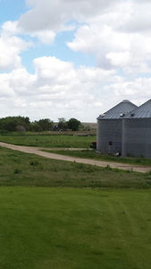 Meet your Posher, Will